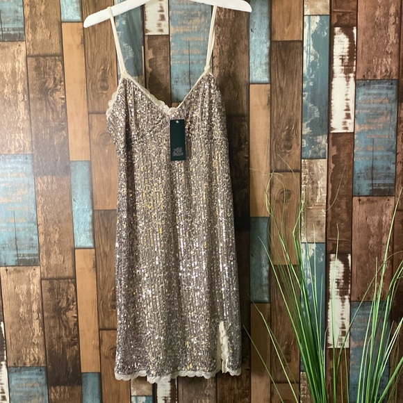 wild fable Dresses & Skirts - Wild fable silver sequins and lace trim stretchy dress